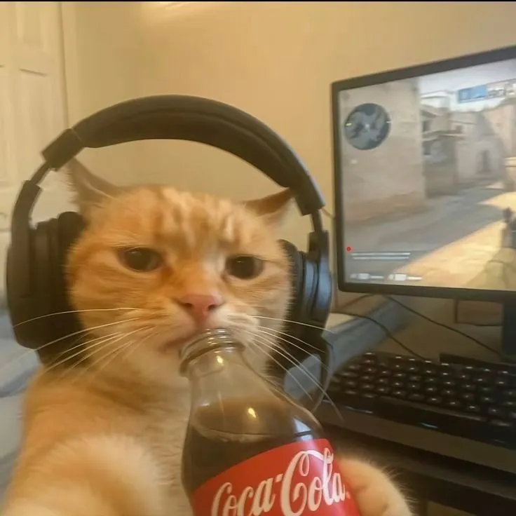 Player photo of bbyte