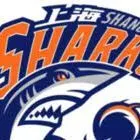 Shanghai Sharks logo