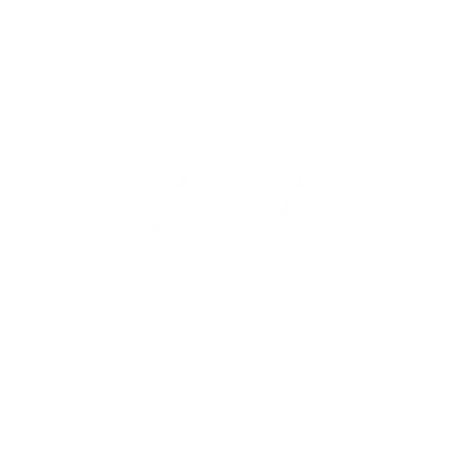 Prevail ANZ logo background