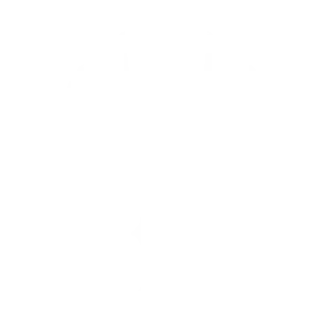 BIG logo