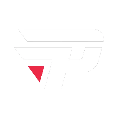 paiN logo