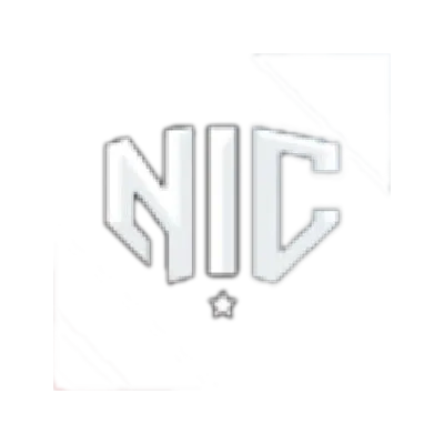 NIC logo background