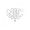NIC