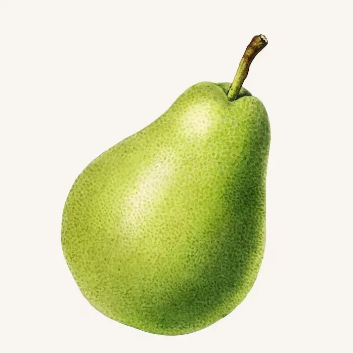 Player photo of pear
