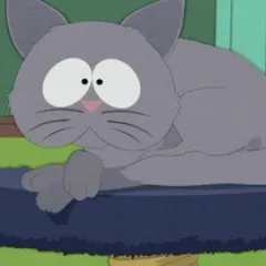 Player photo of Mstr_kitty