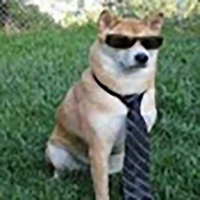 Player photo of _B0SH_