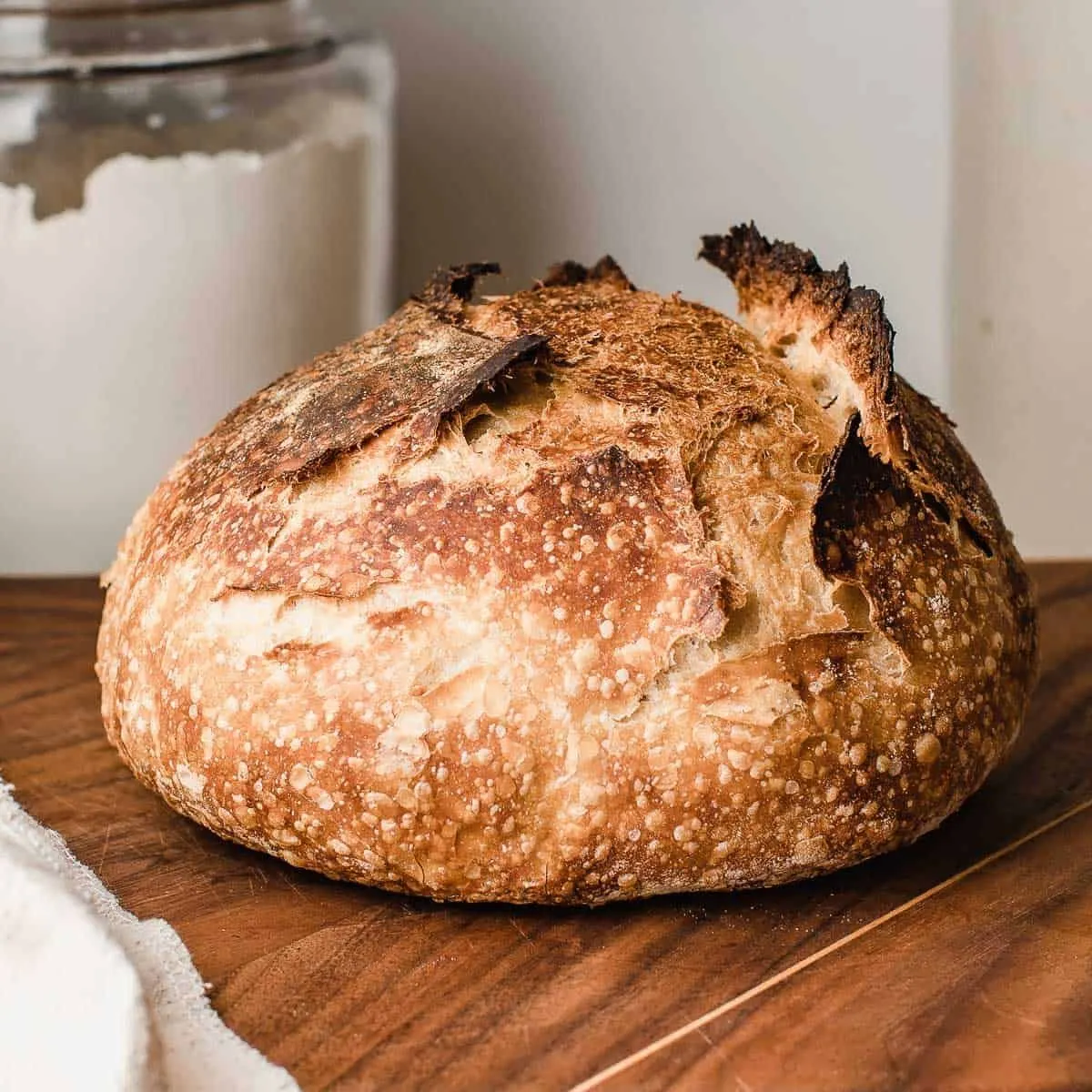 Player photo of naanbread-