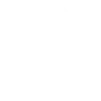 BIG Academy logo