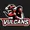 Vulcan Esports