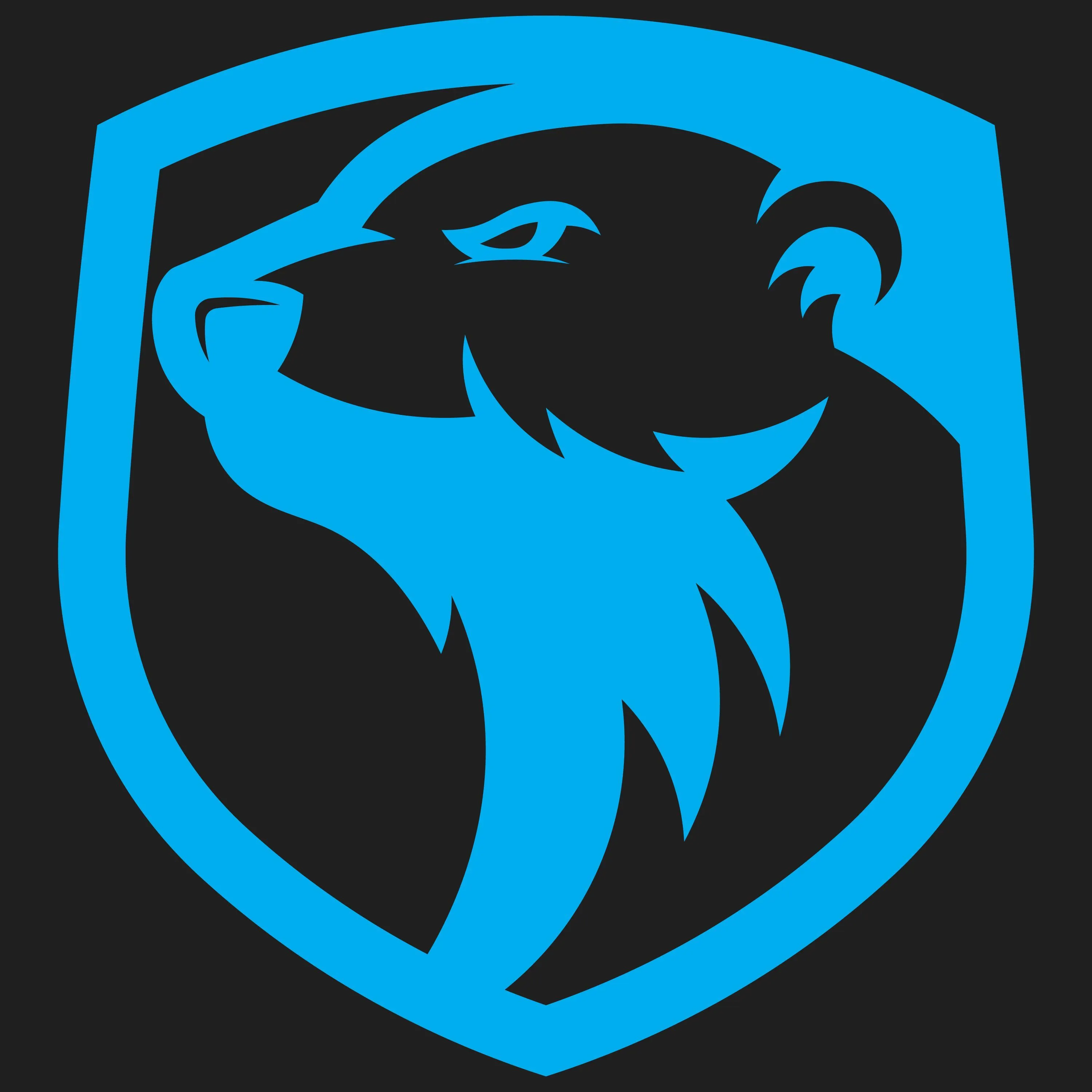 LITE Esports logo background