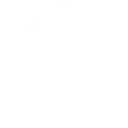 BIG Academy