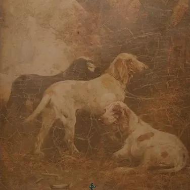 Player photo of chooks