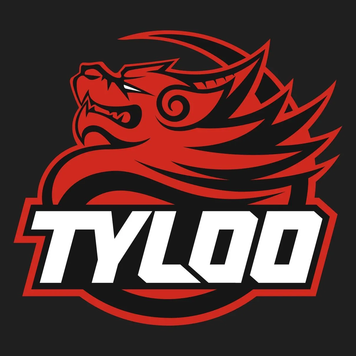 TYLOO logo background
