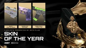HLTV 2025 Community Awards Final Voting for Skin of the Year