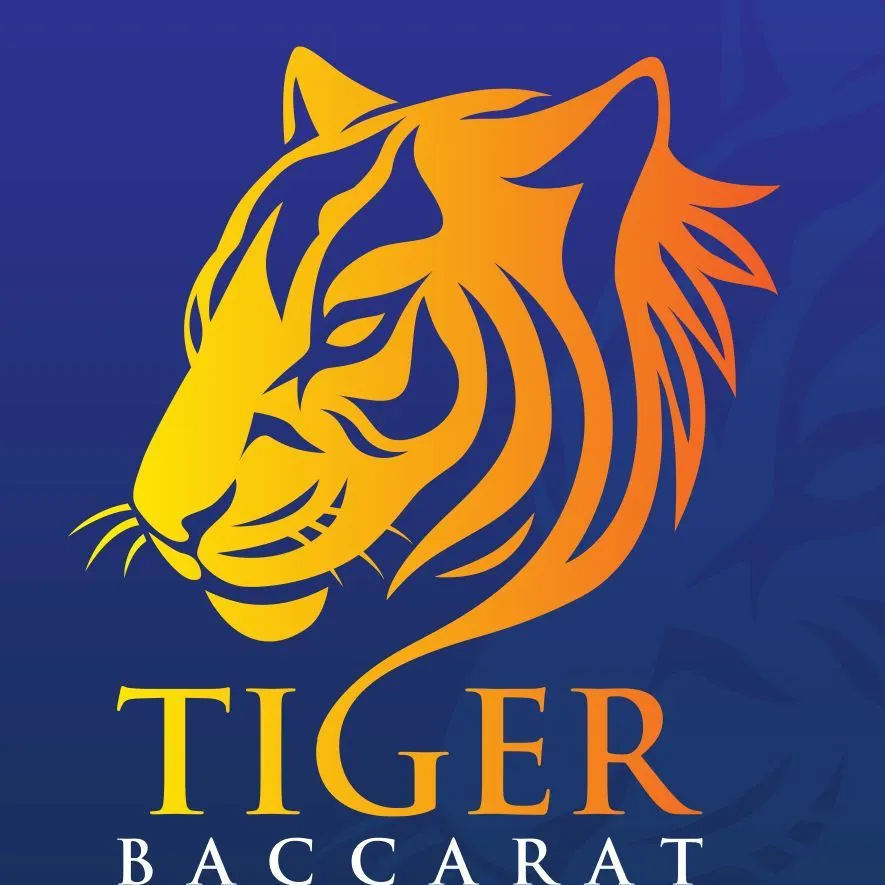 BigTigr logo background