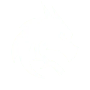 Spirit logo