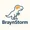 BraynStorm