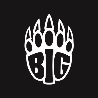 BIG logo background