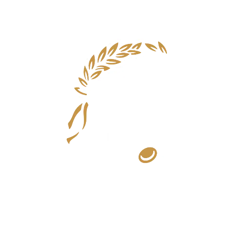 Animus Victoria logo