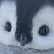 Player photo of PenguinCS