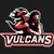 Vulcan Esports