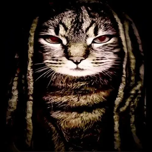 Player photo of hood_oos