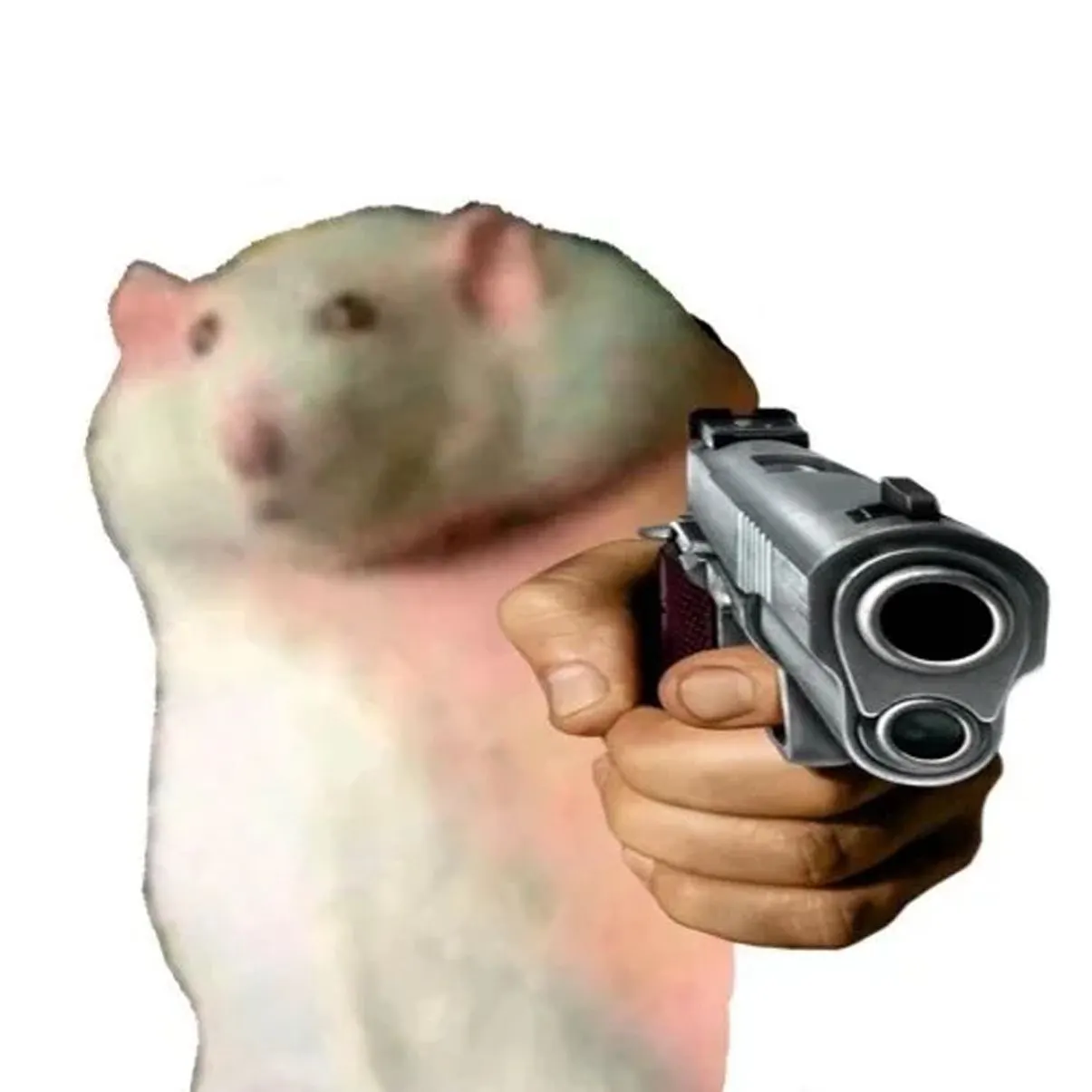 Rat Gang logo background