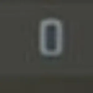 Player photo of Mittzi2225