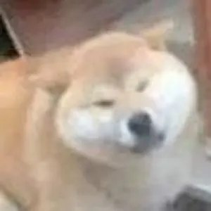 Player photo of oopee