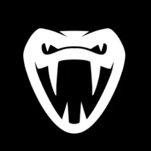 Player photo of V1per_NZ