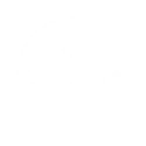 Lung Punchers logo