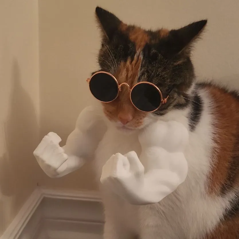 Player photo of vSqueezie