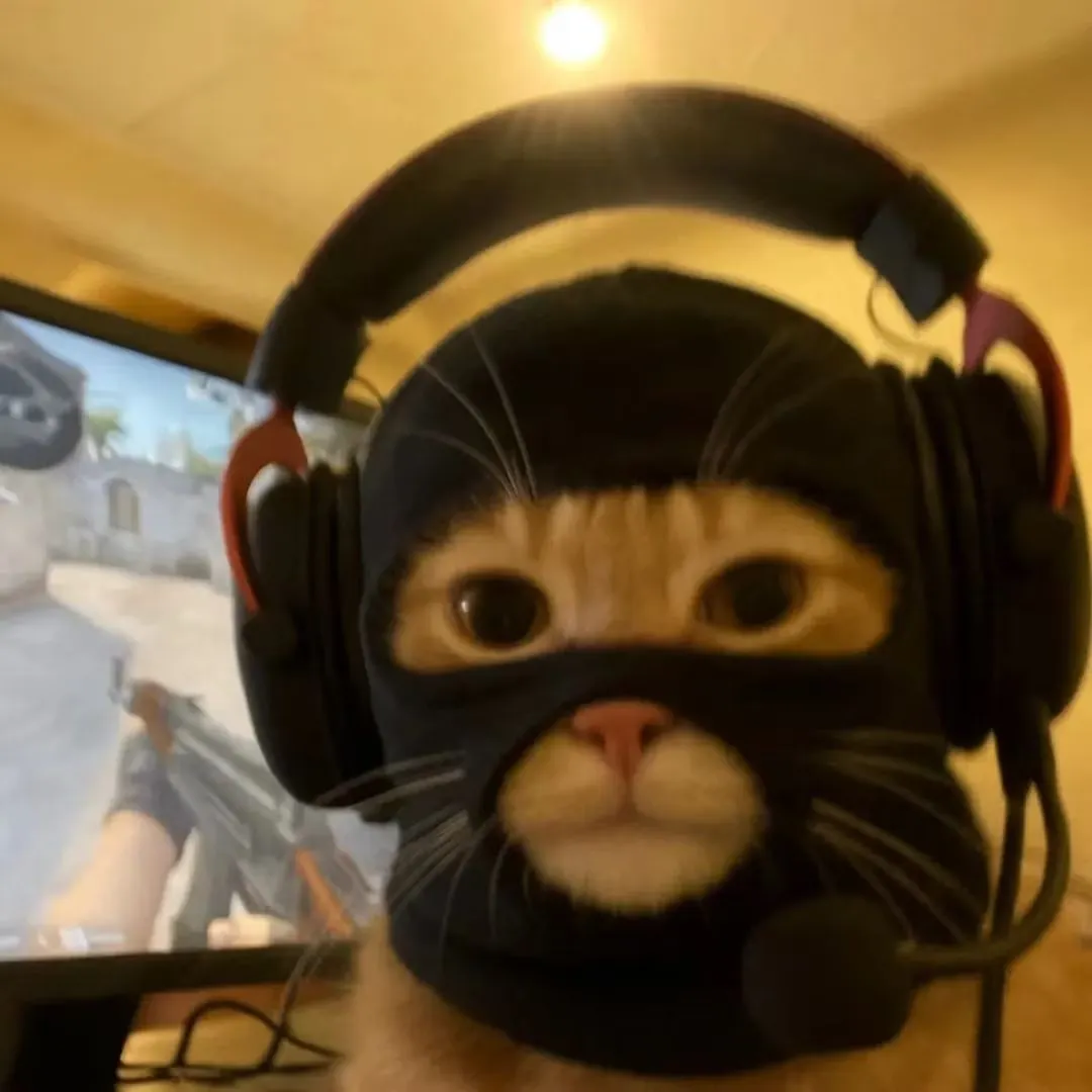 Player photo of W1ngXY