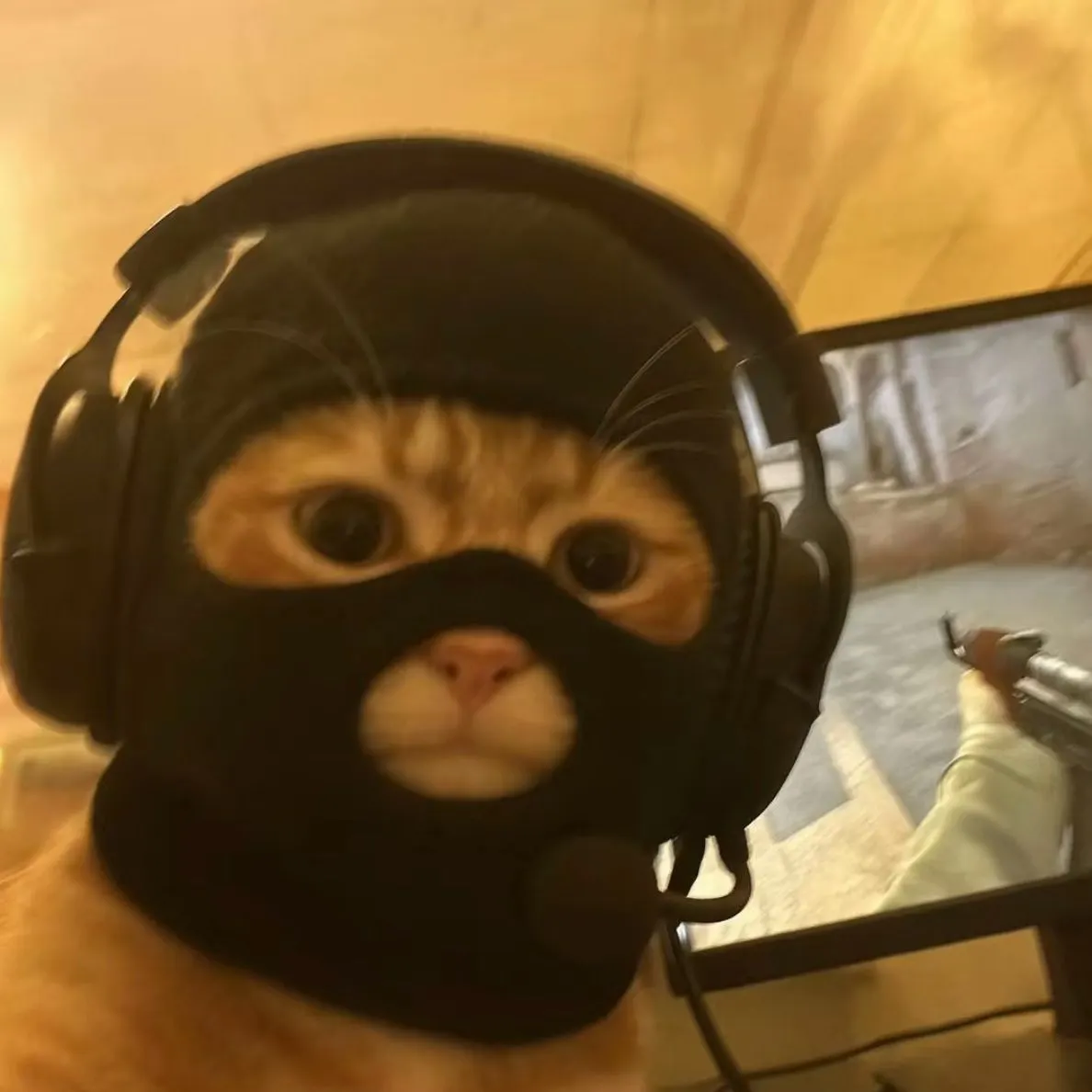 Player photo of SMOBlu