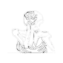 Skele